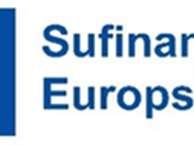 Logotip Sufinancira Europska unija.png